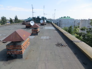 IMG_2357