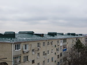 IMG_5455